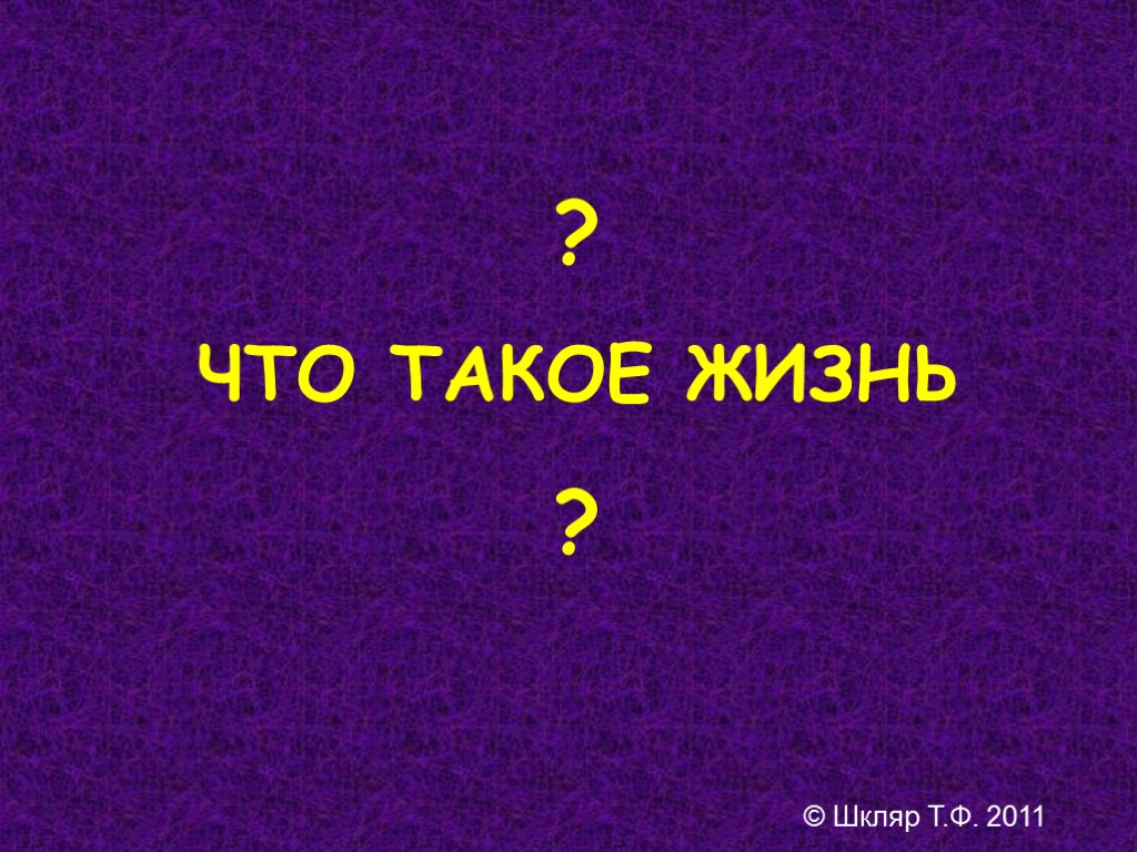 ? ЧТО ТАКОЕ ЖИЗНЬ ? © Шкляр Т.Ф. 2011 ? ЧТО ТАКОЕ ЖИЗНЬ ? © Шкляр Т.Ф. 2011